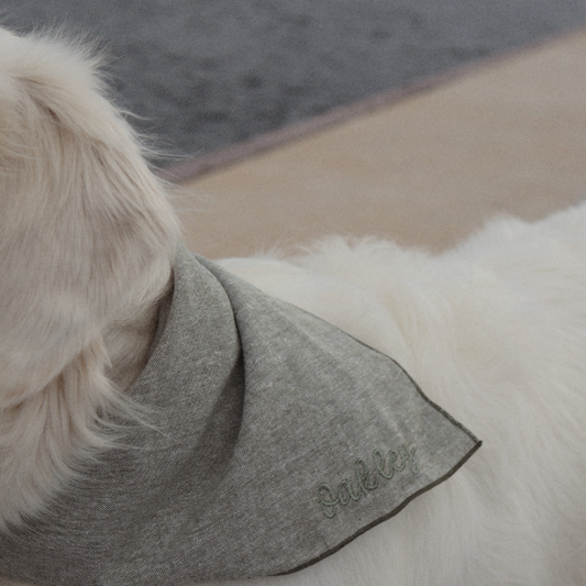 Custom Dog Bandana (Pre-Order)