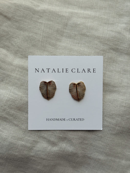Philodendron Studs