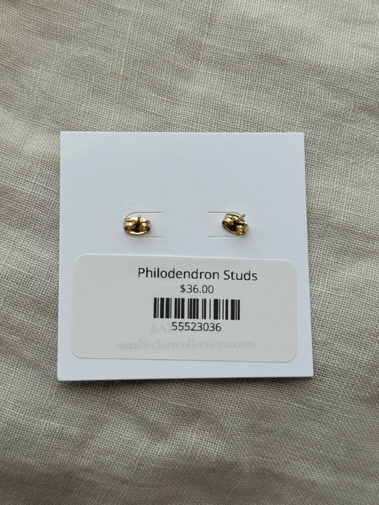 Philodendron Studs