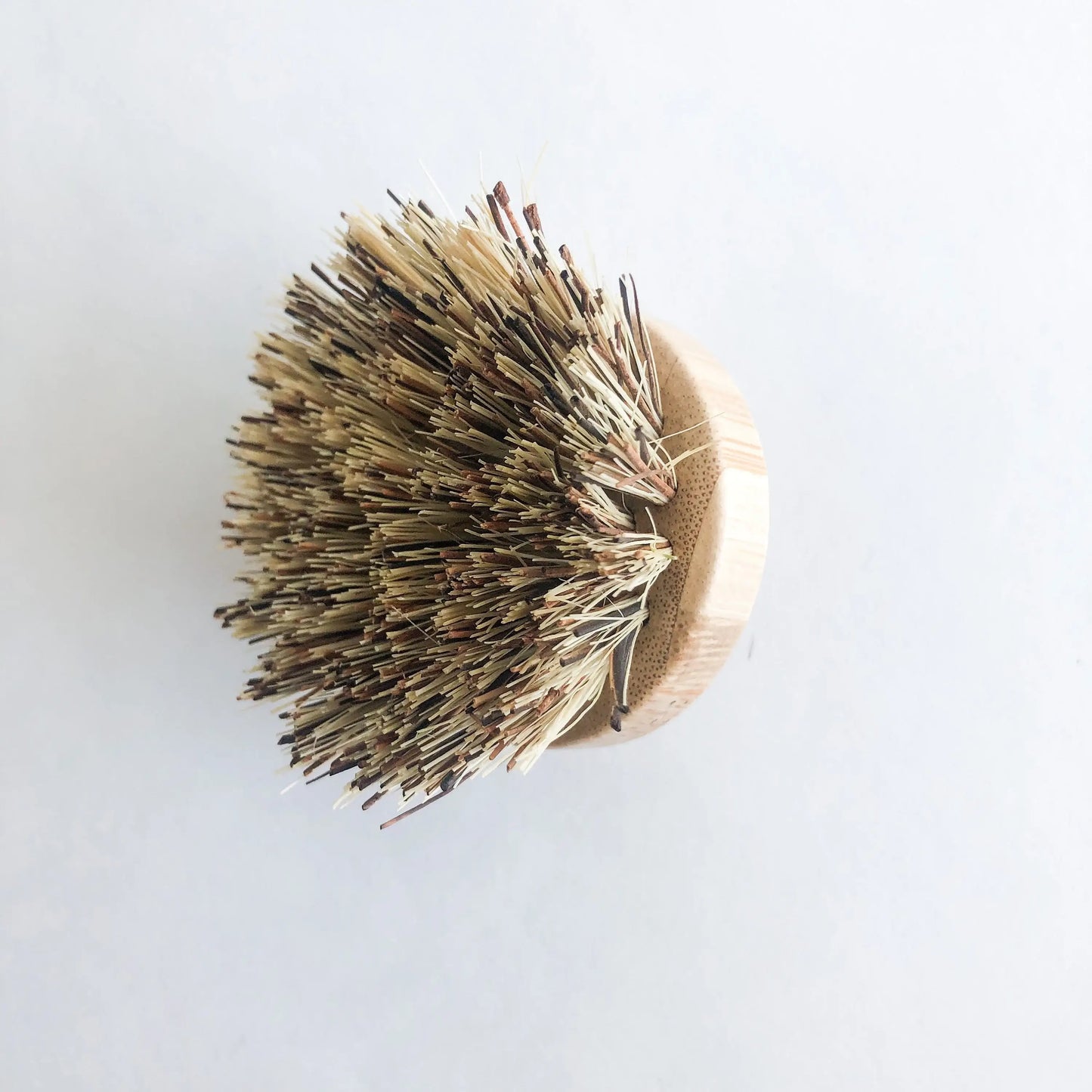 Bamboo Dish Brush