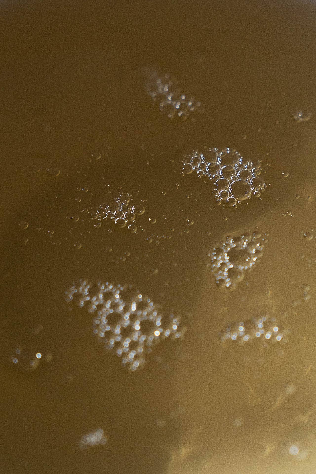 HAND SOAP: EUCALYPTUS