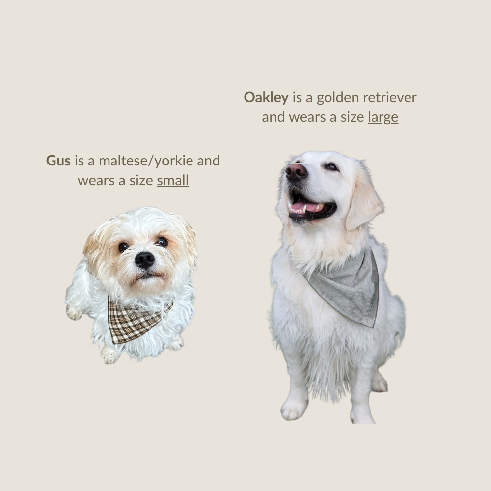 Custom Dog Bandana (Pre-Order)