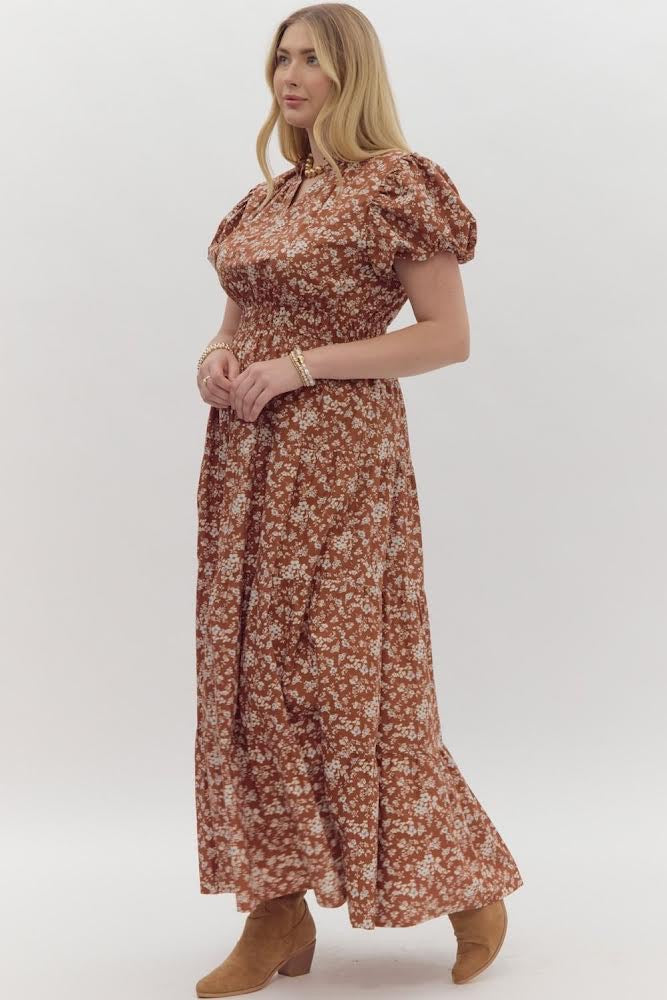 Chelsea Chestnut Maxi Dress