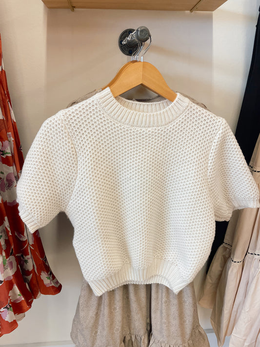 Sasha Stitch Knit Top