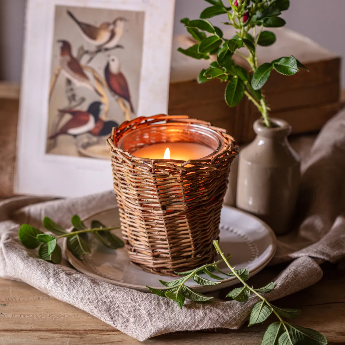 Porch View Candle - Cotton