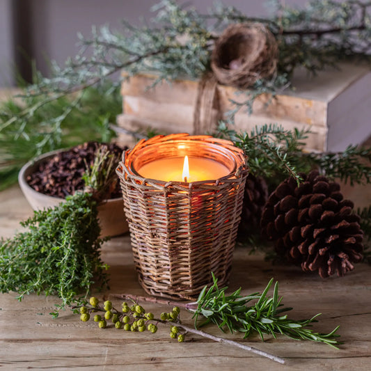 Porch View Candles- Our Best Tree Ever