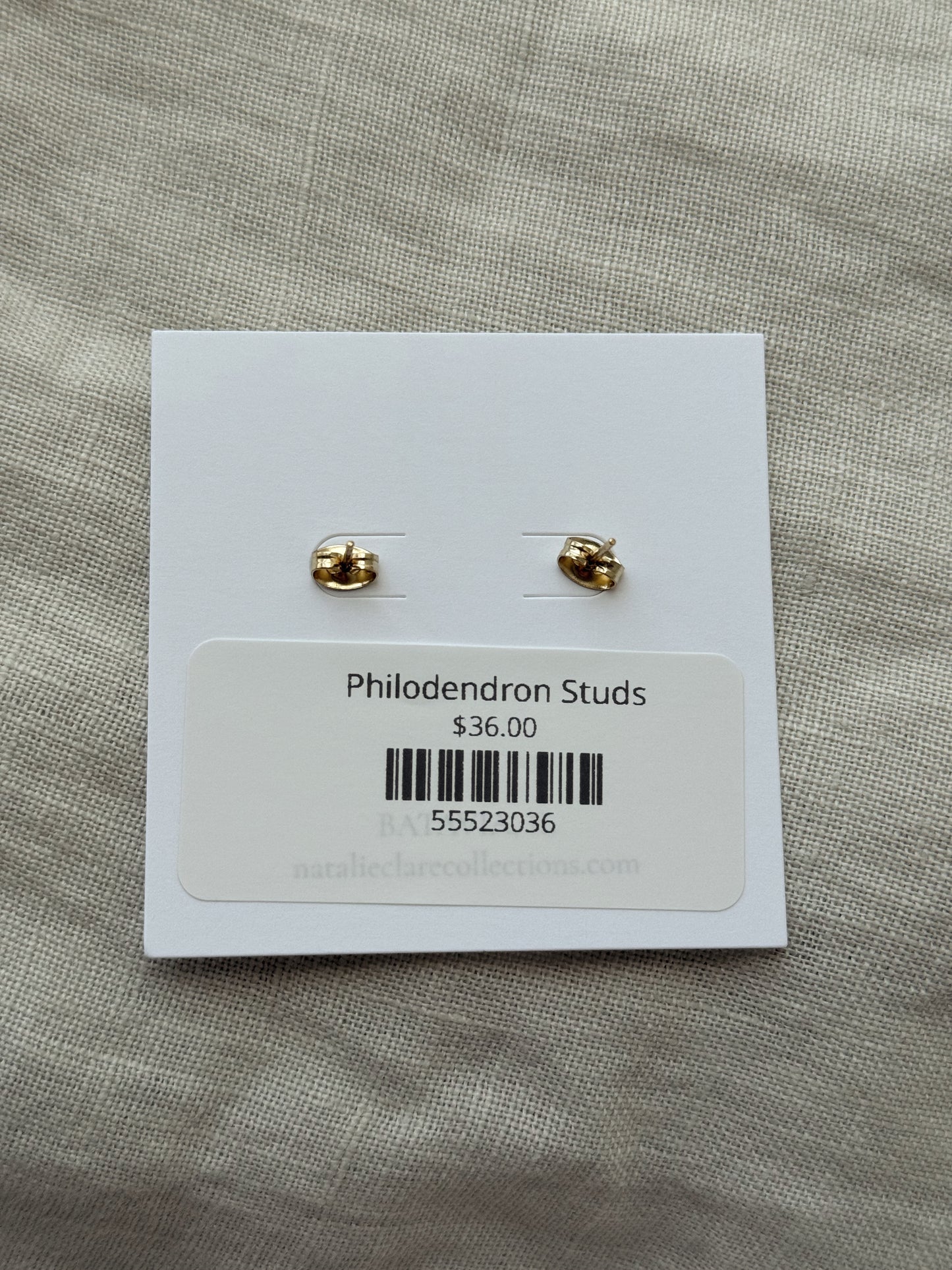 Philodendron Studs