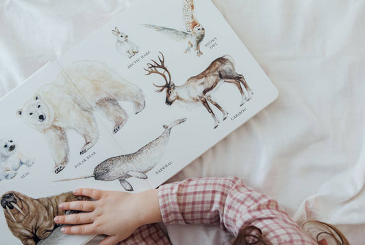 Our Big Book of Animals